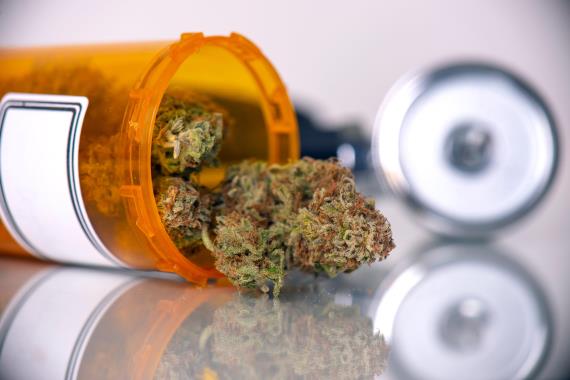 cannabis in prescription bottle